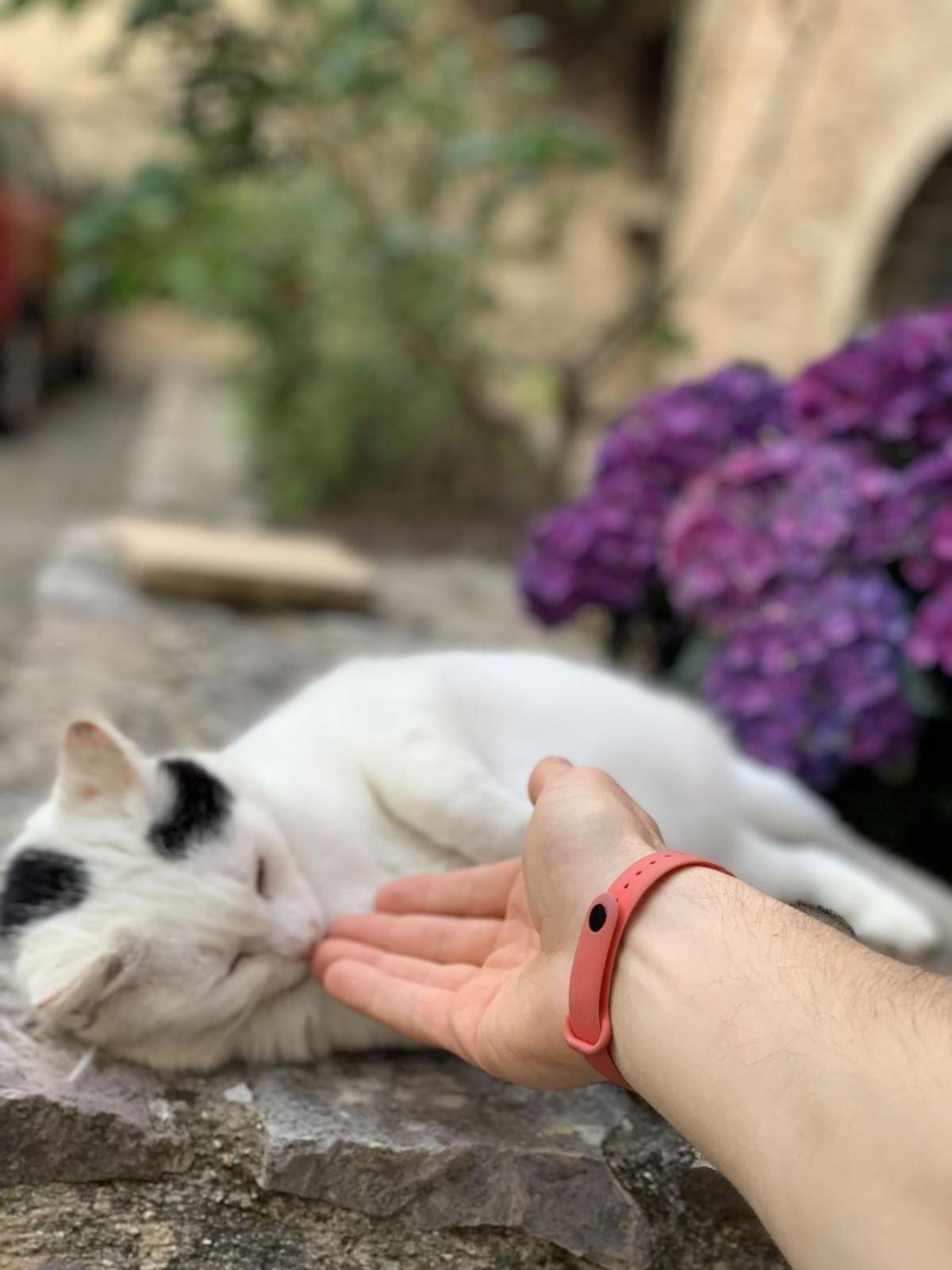 Lucky Garden Bed & Breakfast Bevagna Dış mekan fotoğraf